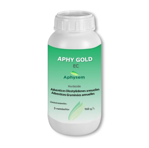 Aphy gold 1